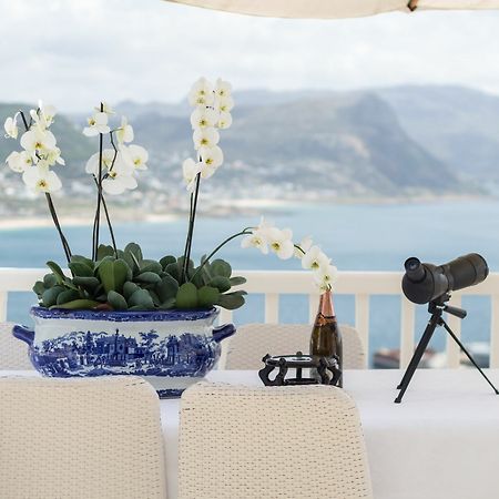 Penguin Palace Simonʼs Town Dış mekan fotoğraf